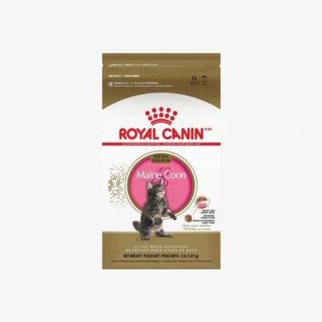 How Much Should A Maine Coon Eat? The Complete Feeding Chart & Guide
