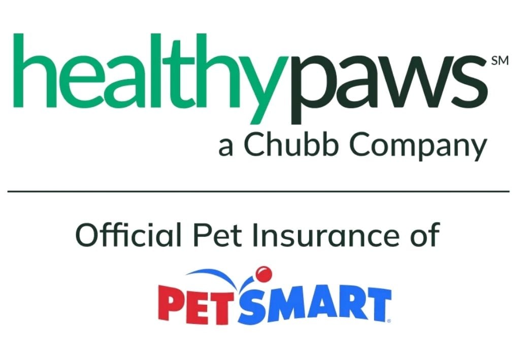 healthy paws stacked with pet smart transparent