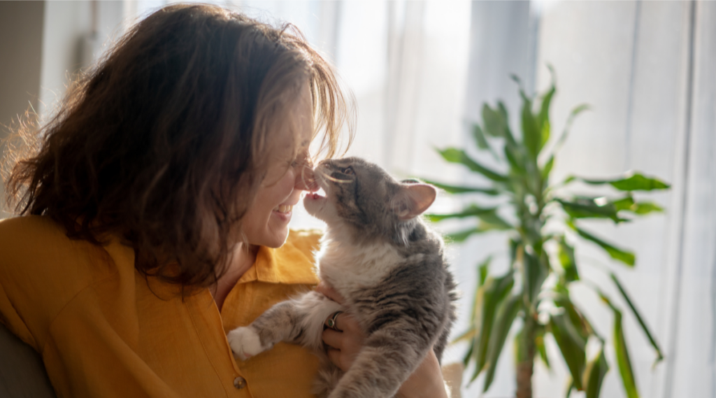 Woman in a yellow shirt hugging with a gray fluffy cat who is biting her nose.