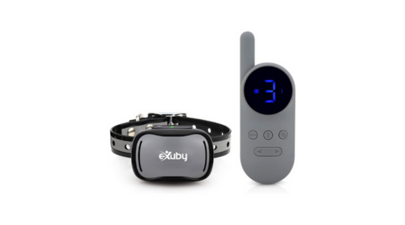 The Best Shock Collars For Cats (& When It's Safe To Use Them) - Love ...