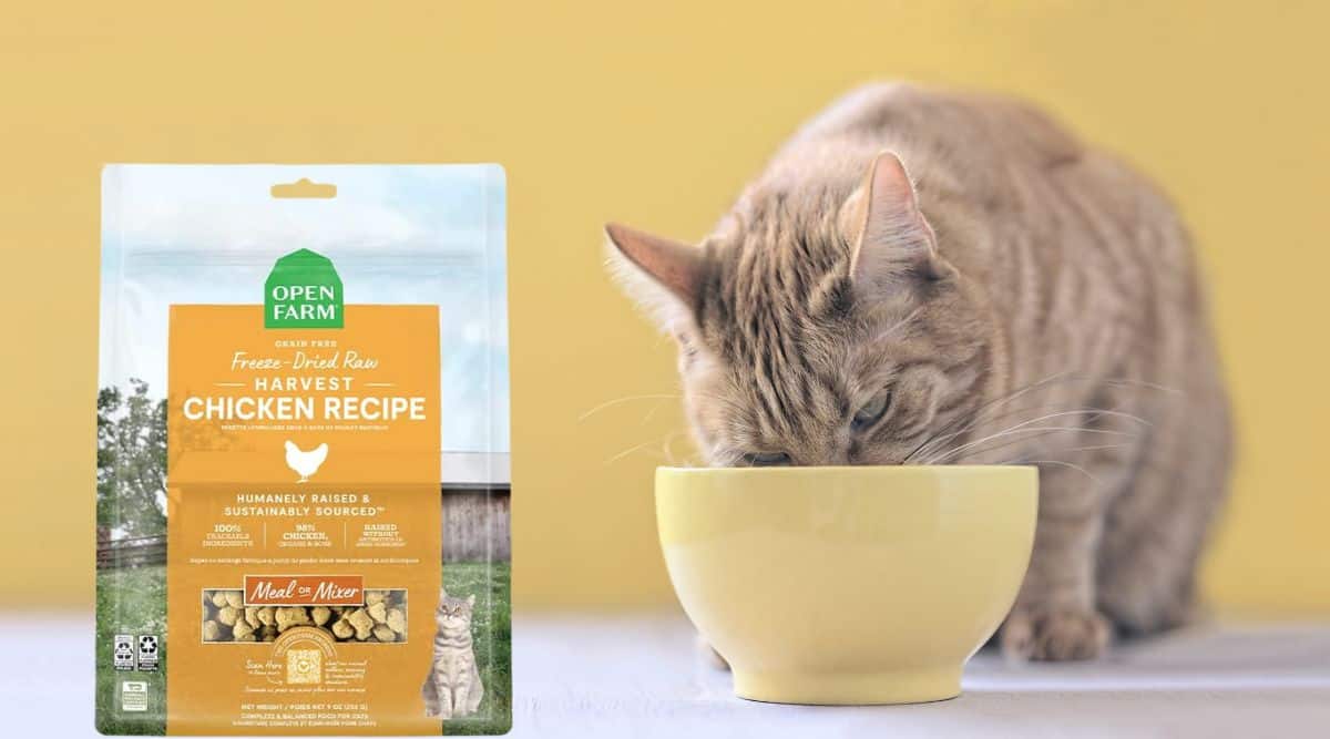 Open Farm Cat Food Review (With Personal Experience)