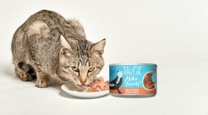 Can Cats Eat Sausage? - Love Your Cat