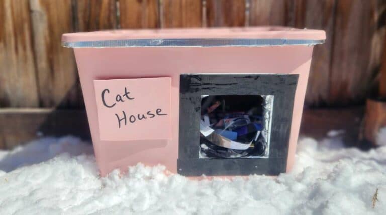 10 Steps To Make A Feral Cat House For Under $20: Easy DIY Shelter ...