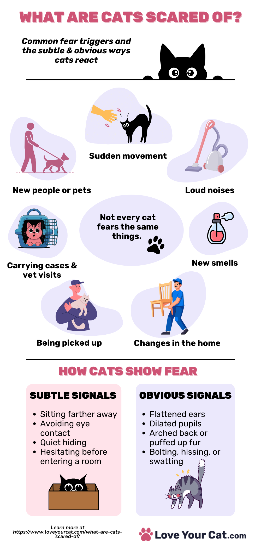 Infographic showing what cats commonly fear and subtle and obvious fear signals. 