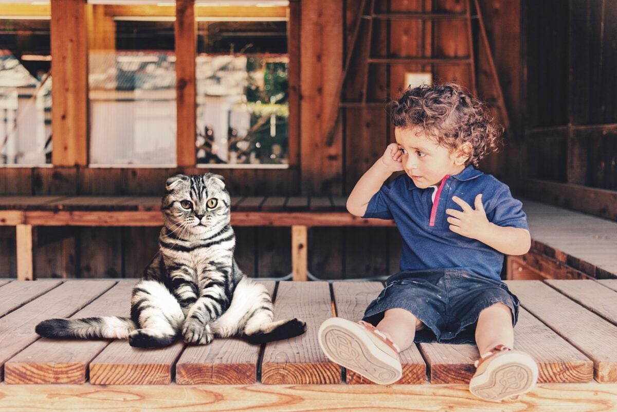 child, animal, cat, to sit, cute, boy, fun, funny, friends, strange, entertainment, small child, relaxation, domestic animal, think, break, lazy, pet, friendship, domestic cat, relax