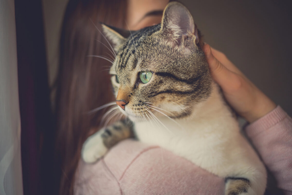 Young woman holding cat home