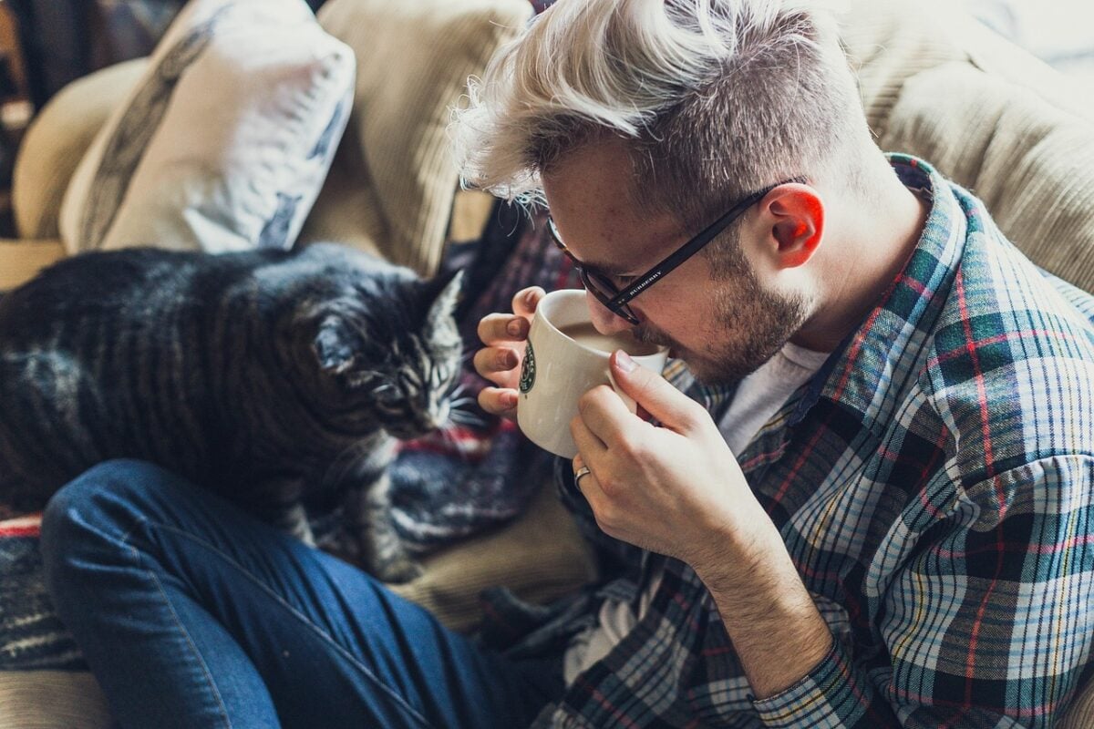 man, sofa, animal, coffee, mug, cup, drink, drinking coffee, morning coffee, coffee break, caffeine, coffee cup, drinking, adult, cat, pet, couch, indoors, leisure, portrait, seat, sitting