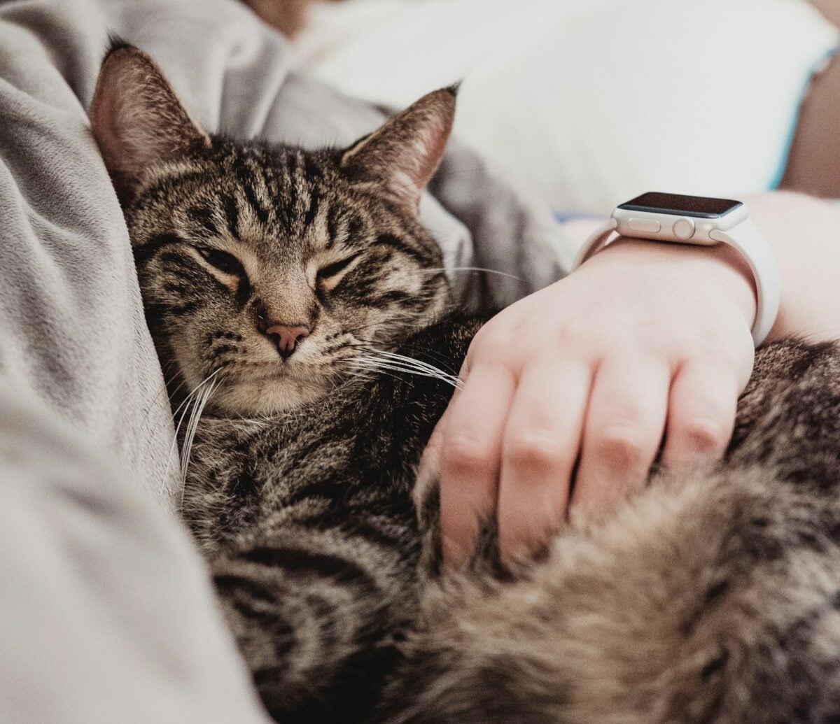 Morning snuggles