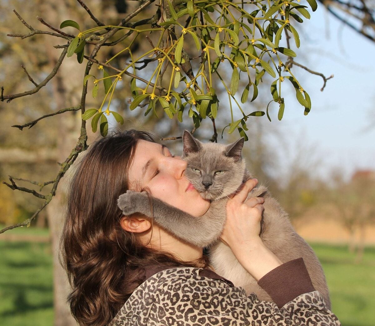 portrait, young woman, cat, naturally, face, human, animal, pet, nature, domestic animal, animal relationship