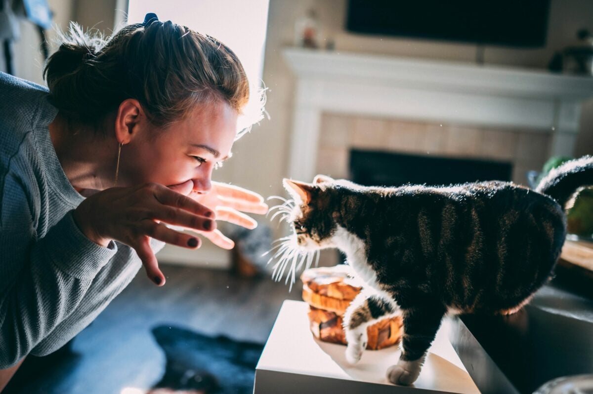 Very excited person with a cat.