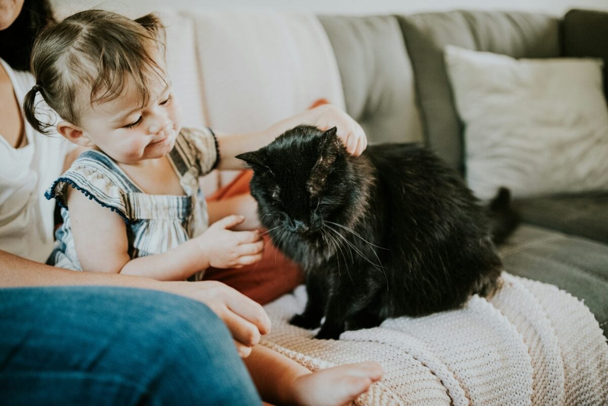 Showing a child how to pet a cat. 