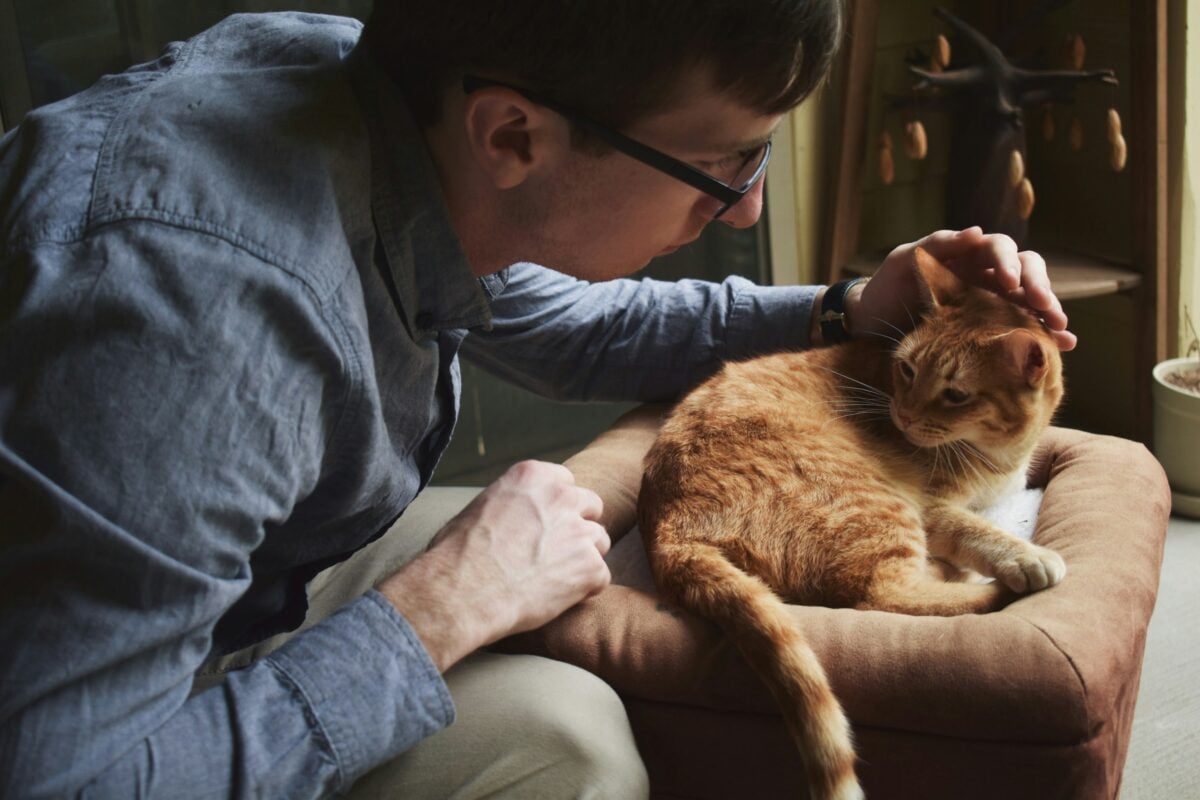 Man looking at cat very concerned.