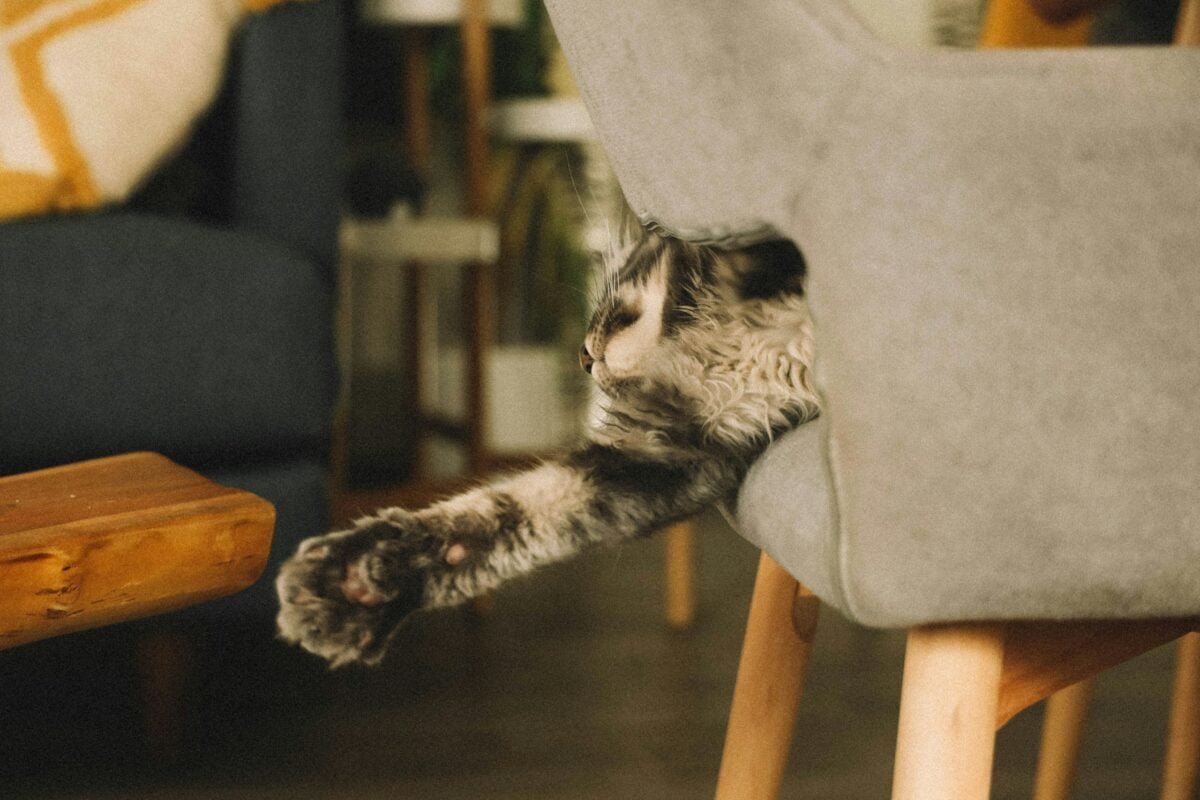 I can almost reach it