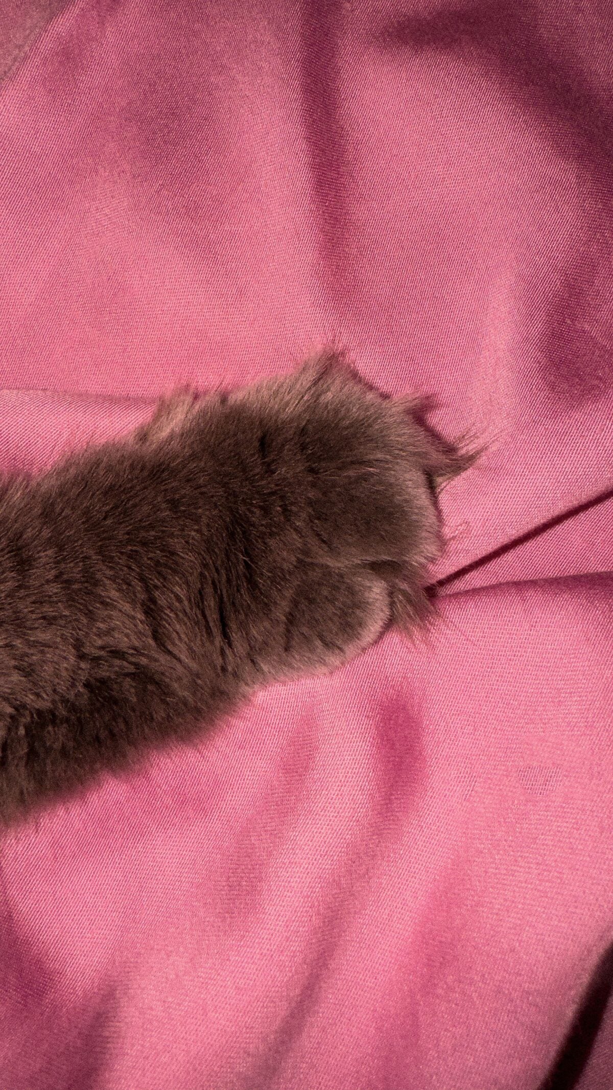 cat claw snagging sweater